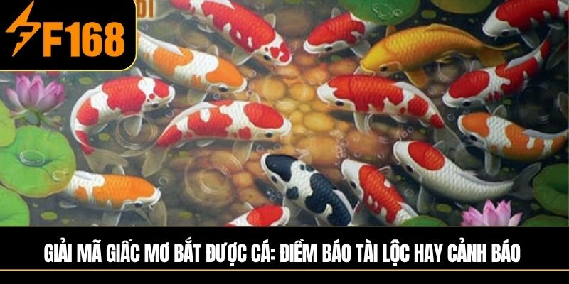 Giải mã giấc mơ bắt được cá