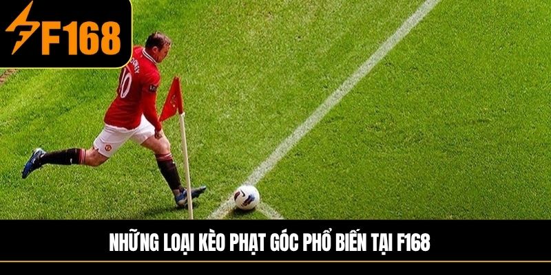 Các loại kèo được phổ biến nhất hiện nay