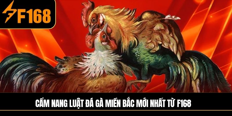 Cẩm nang luật đá gà miền Bắc mới nhất từ F168