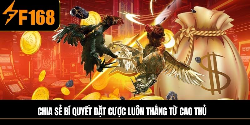 Chia sẻ bí quyết đặt cược luôn thắng từ cao thủ
