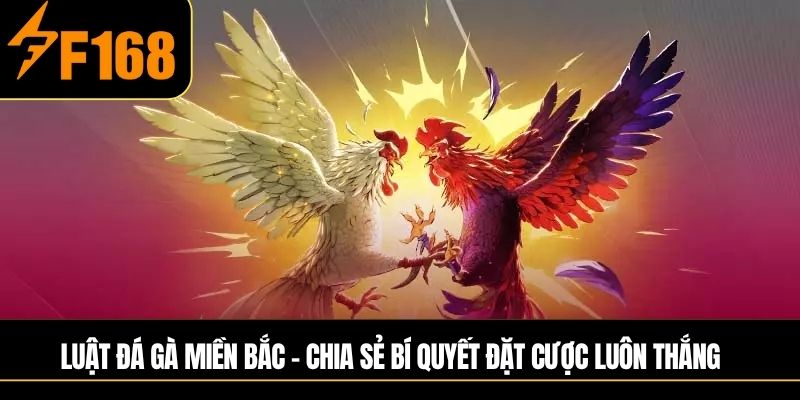 luật đá gà miền Bắc