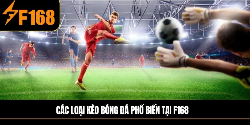 Các loại kèo bóng đá phổ biến tại F168