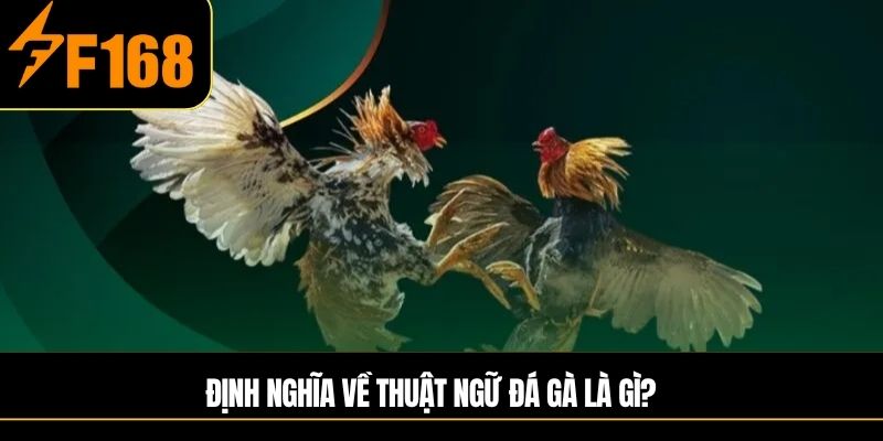 Định nghĩa về thuật ngữ đá gà là gì?